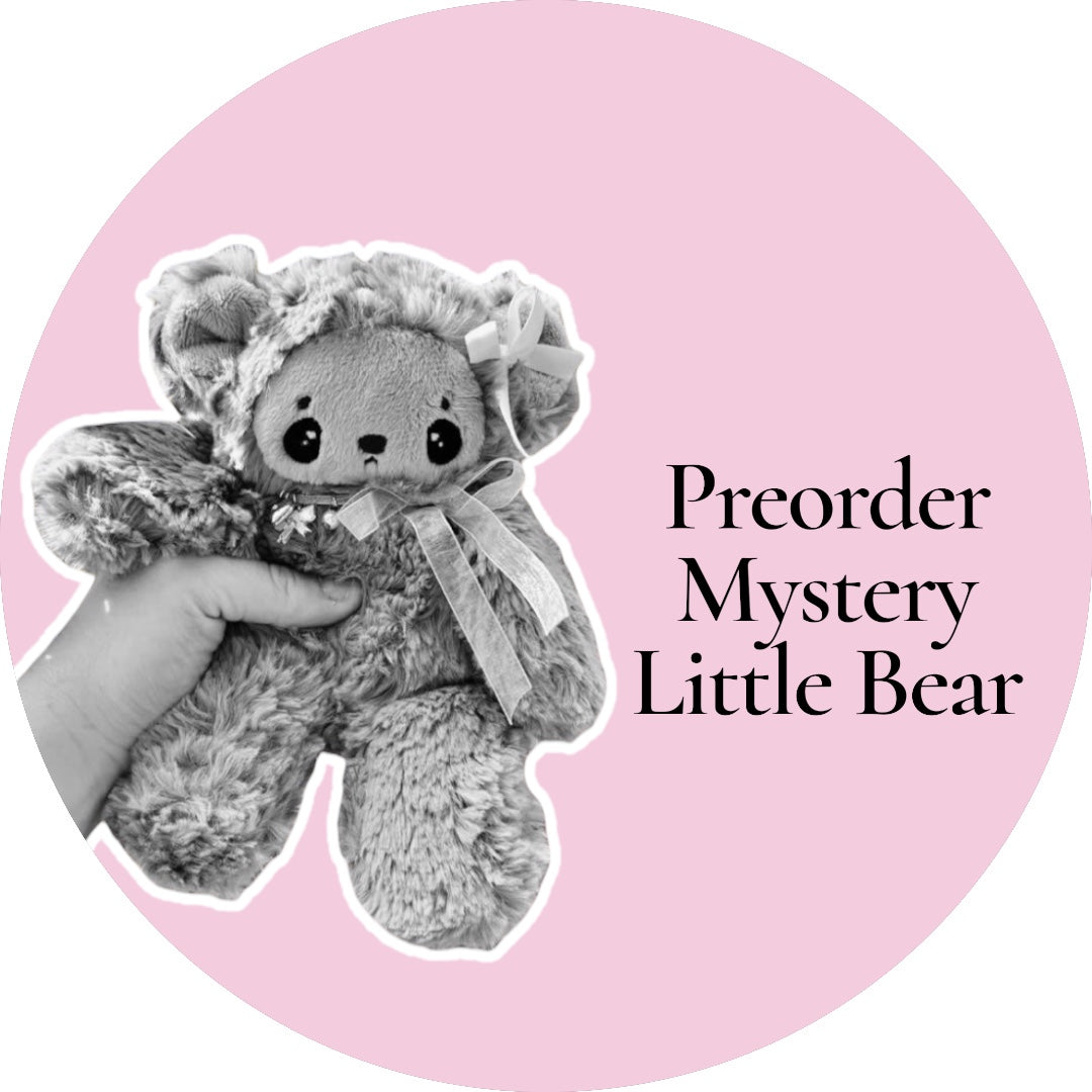 Mystery Little Bear
